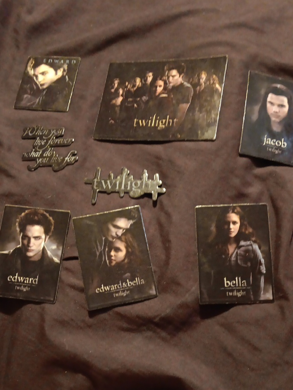 8 Peice Twilight Movie Cast Magnet Set - Black